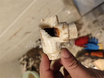 畜禽良种场自来水管道漏水检测
