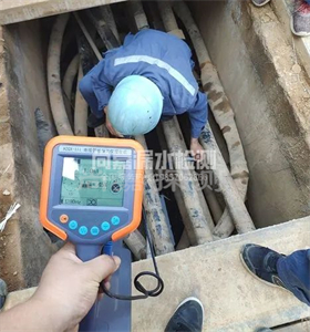 畜禽良种场管线探测