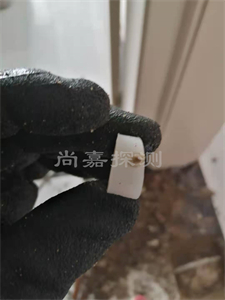 畜禽良种场暖气管道漏水检测