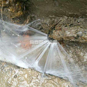 畜禽良种场消防管道漏水检测